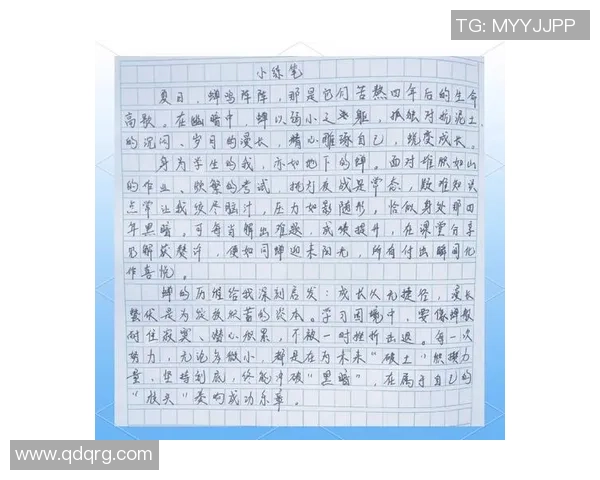 何思雨的成长之路：从校园到职场的蜕变与追求