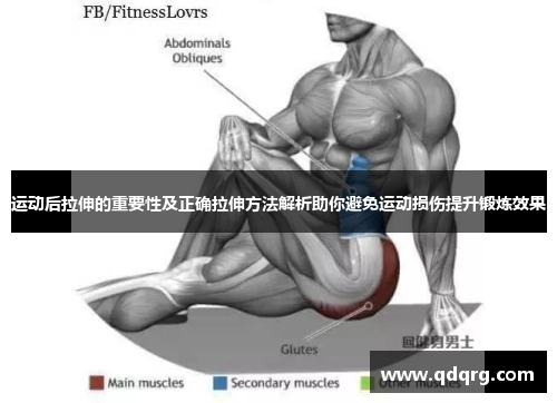 运动后拉伸的重要性及正确拉伸方法解析助你避免运动损伤提升锻炼效果