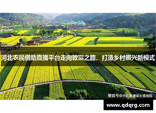 河北农民借助直播平台走向致富之路，打造乡村振兴新模式