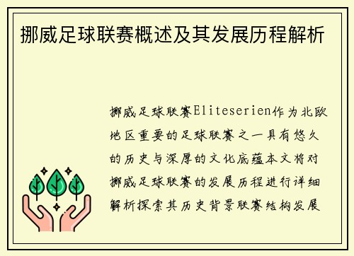 挪威足球联赛概述及其发展历程解析