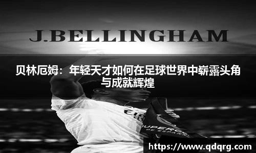 678体育官网入口