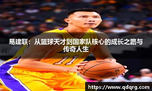 678体育手机网页版登录